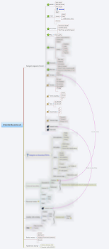 mind map informačná architektúra SEO